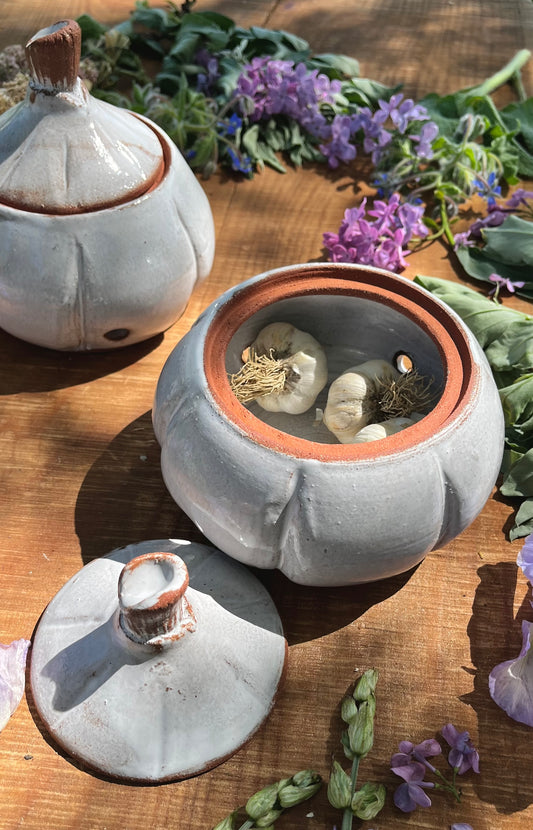 Garlic Keeper Jar - Lidded Ceramic Jar - Garlic Head