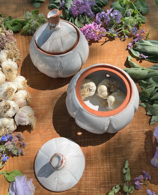 Garlic Keeper Jar - Lidded Ceramic Jar - Garlic Head