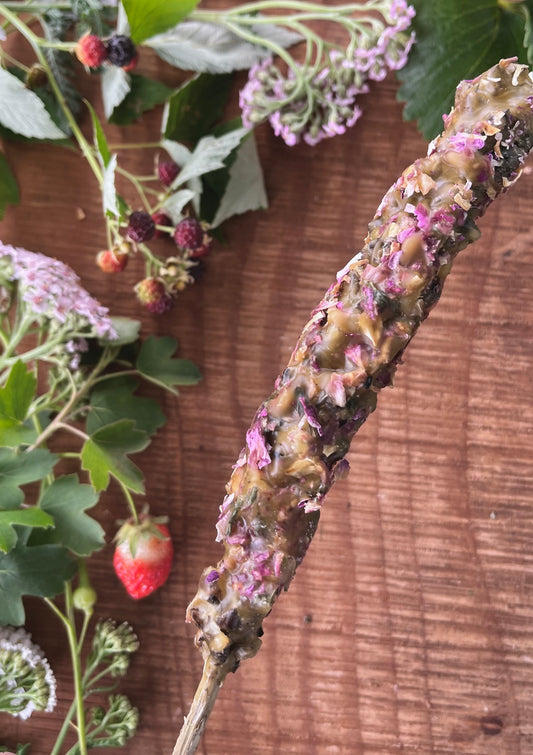 Mullein Witch's Torches - 7" - Spring Dreams
