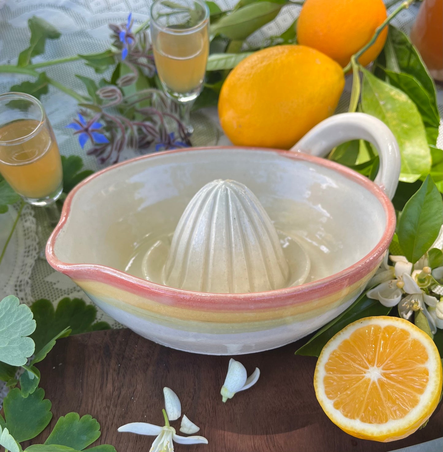 Ceramic Citrus Juicer - Handmade Ceramic Juicer Rainbow