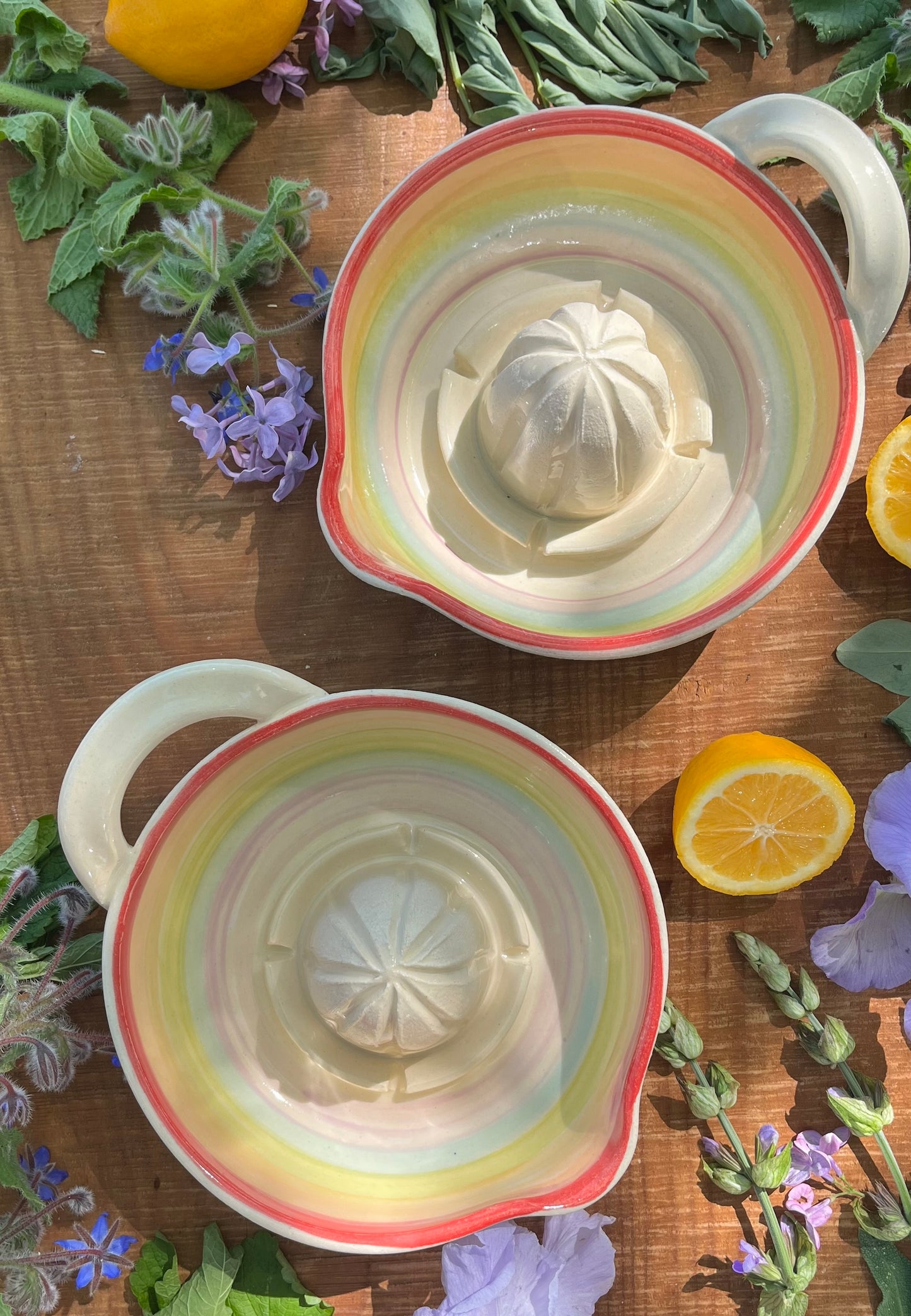 Ceramic Citrus Juicer - Handmade Ceramic Juicer Rainbow