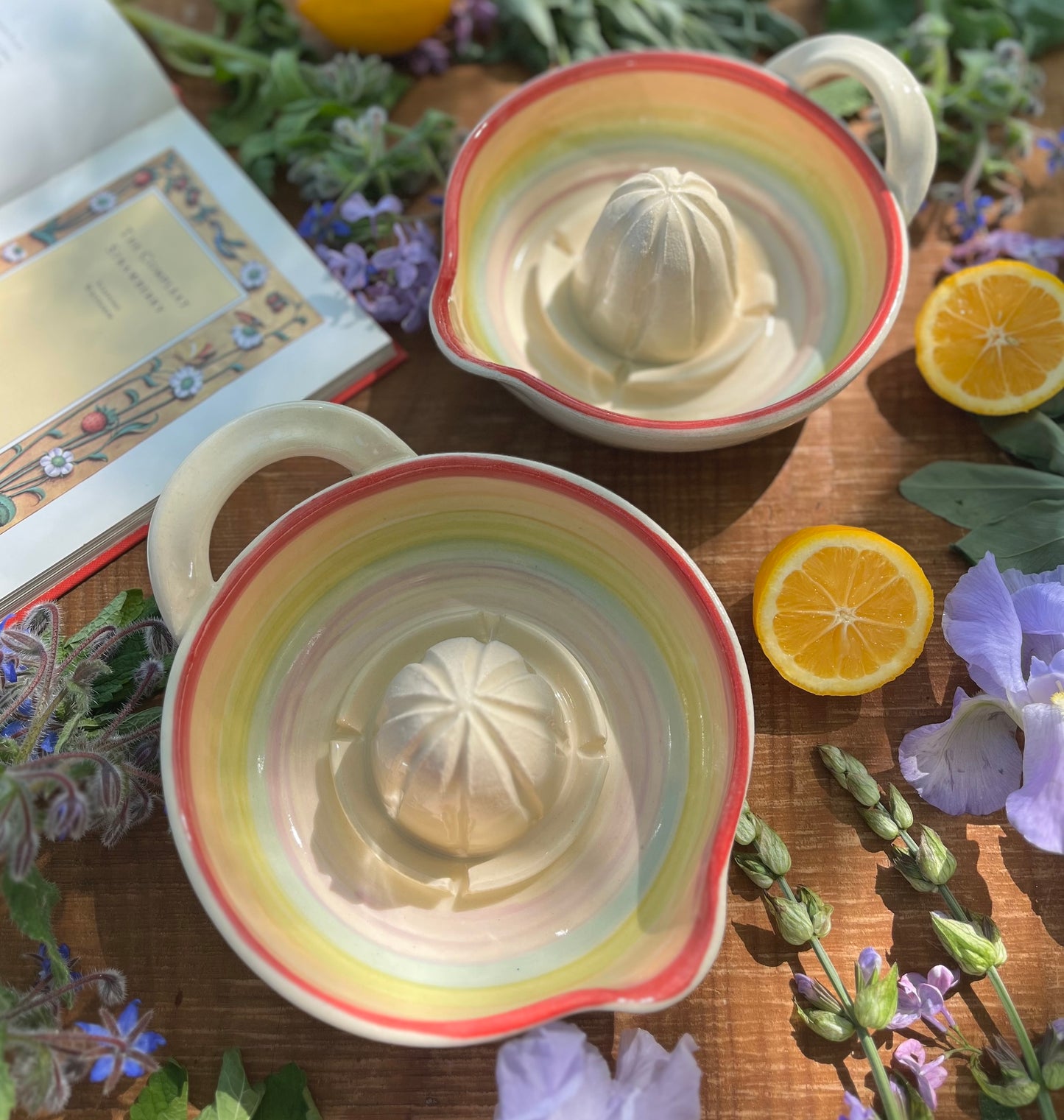 Ceramic Citrus Juicer - Handmade Ceramic Juicer Rainbow
