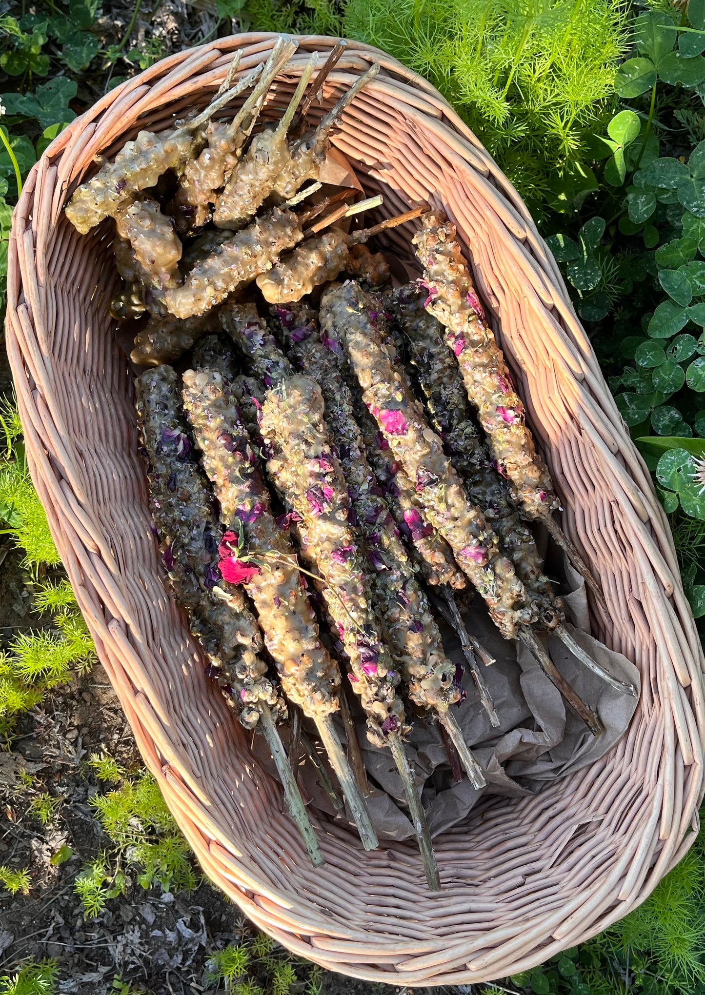 Mullein Witch's Torches - 7"