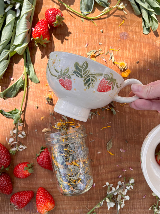 Strawberry Canning Funnel - Magick Medicine Portal