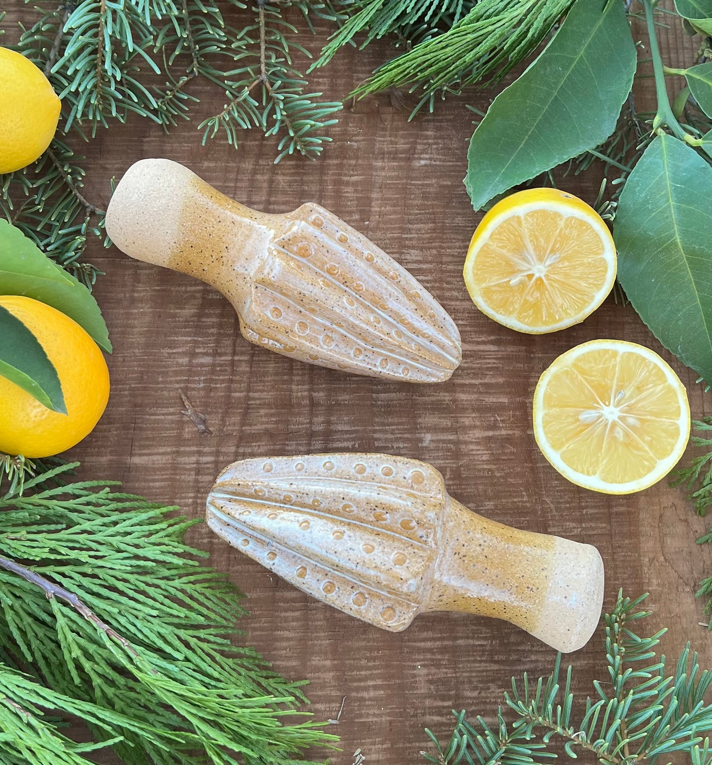 Citrus Reamer - Handmade Ceramic Juicer