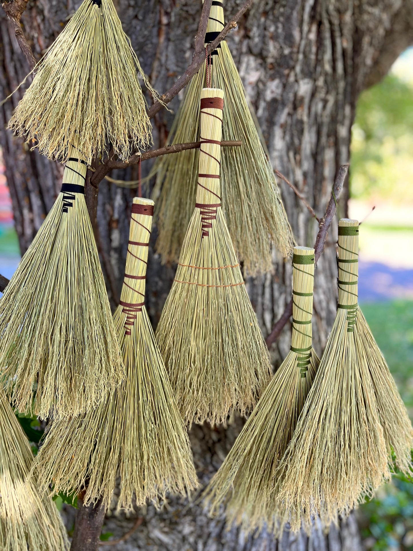 Hawktail Brooms