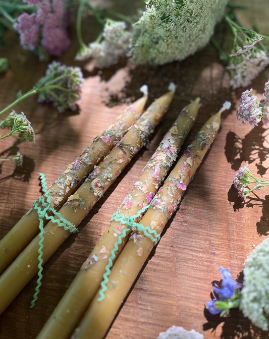 2 Taper Candles - Herbal Beeswax Candles 3/4" x 11.5"