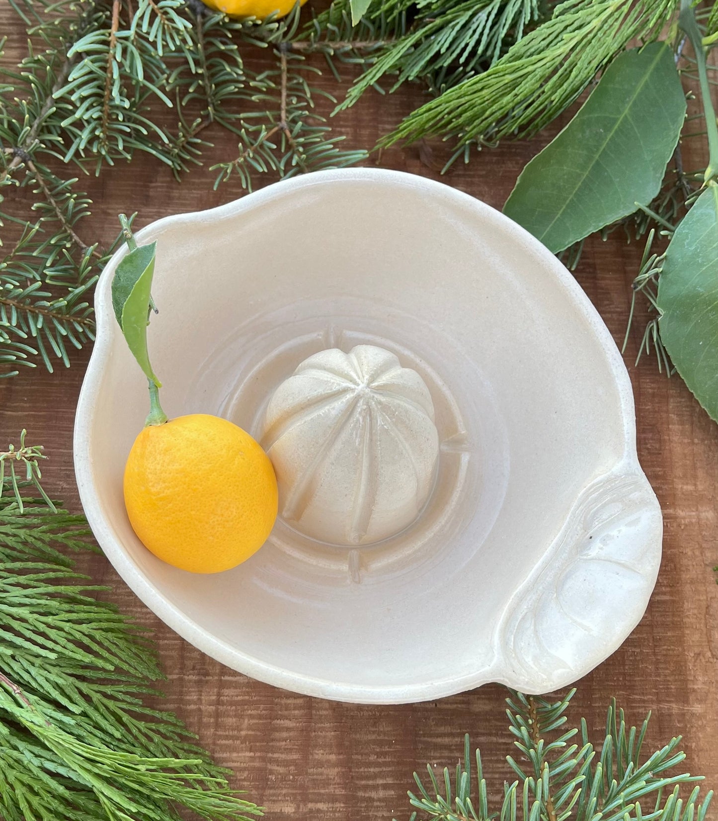 Ceramic Citrus Juicer - Handmade Ceramic Juicer