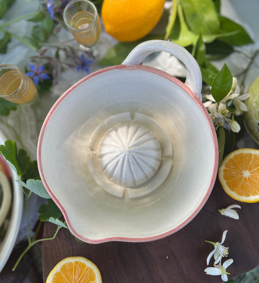 Ceramic Citrus Juicer - Handmade Ceramic Juicer Rainbow