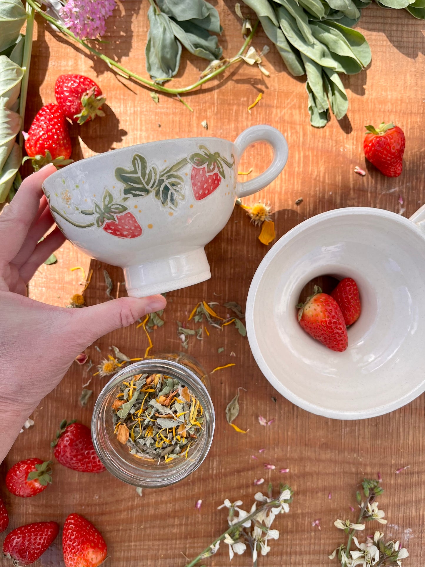 Strawberry Canning Funnel - Magick Medicine Portal