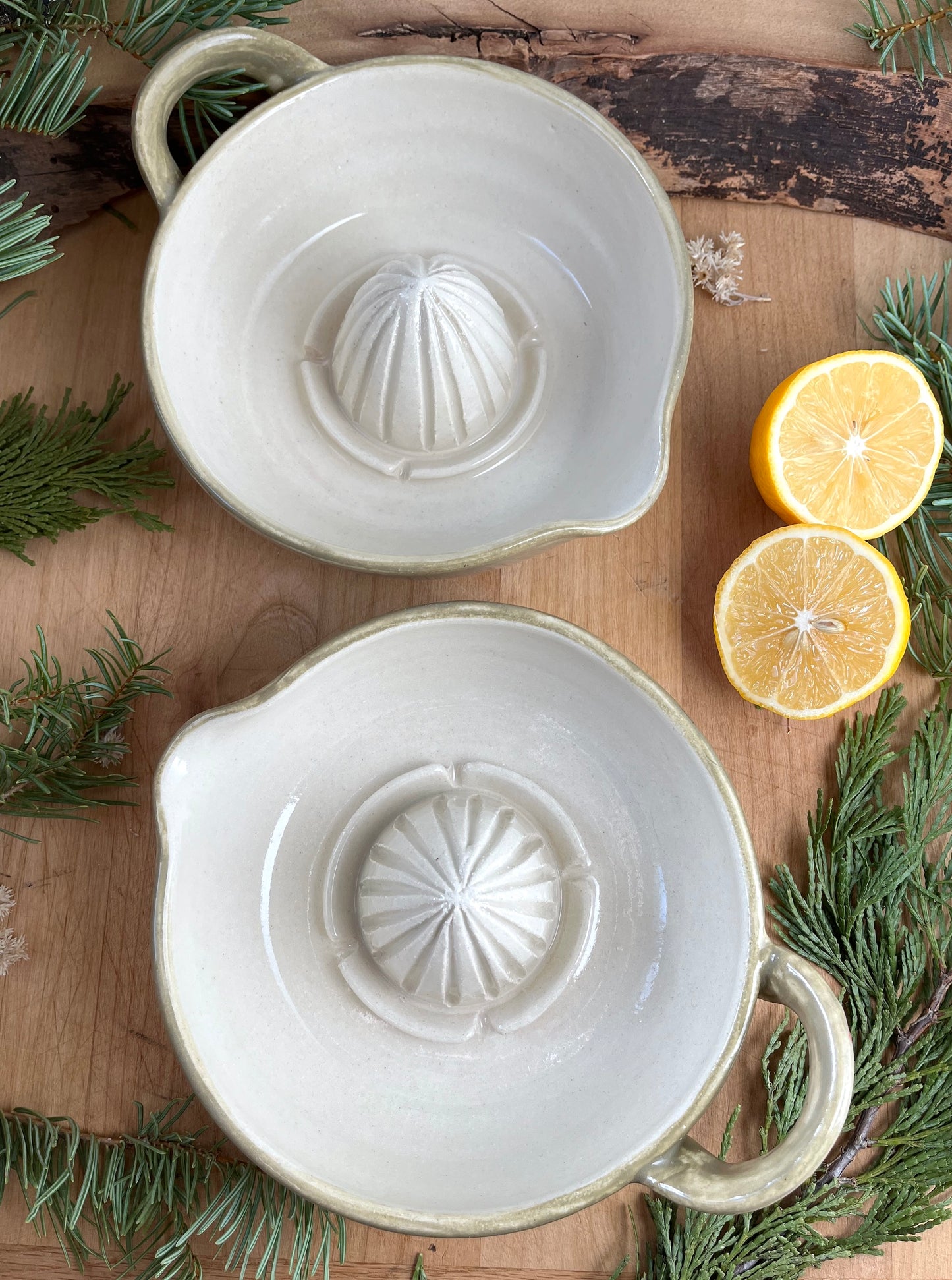 Ceramic Citrus Juicer - Handmade Ceramic Juicer Woodland Mushrooms