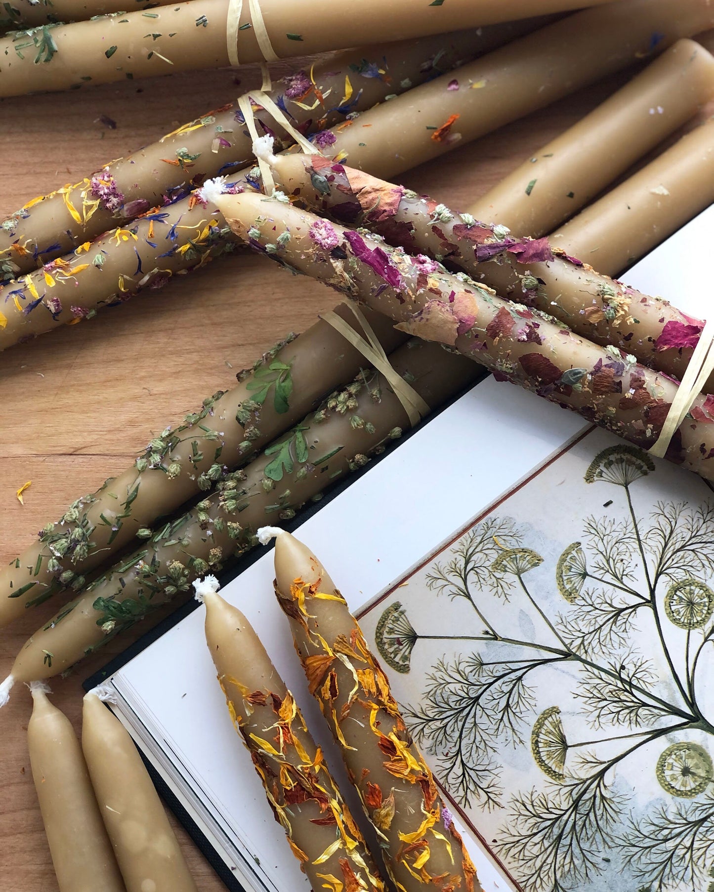 2 Taper Candles - Herbal Beeswax Candles 7/8" x 11.5"